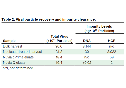 精製過程におけるウイルス粒子数ならびにDNA、HCP含有量